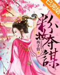 粉妆夺谋